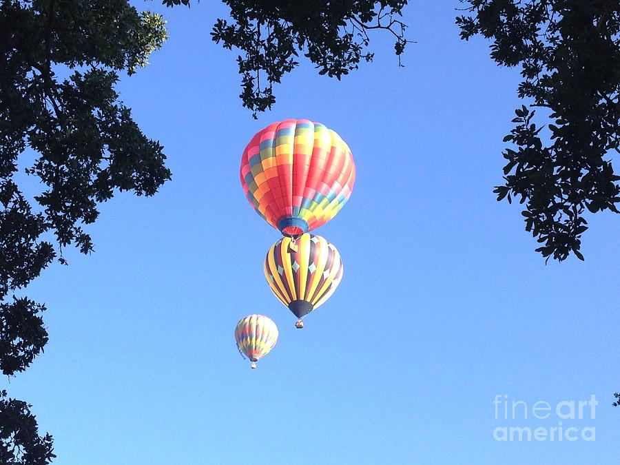 Hot Air Balloon Trio Photograph by Jacklyn Duryea Fraizer