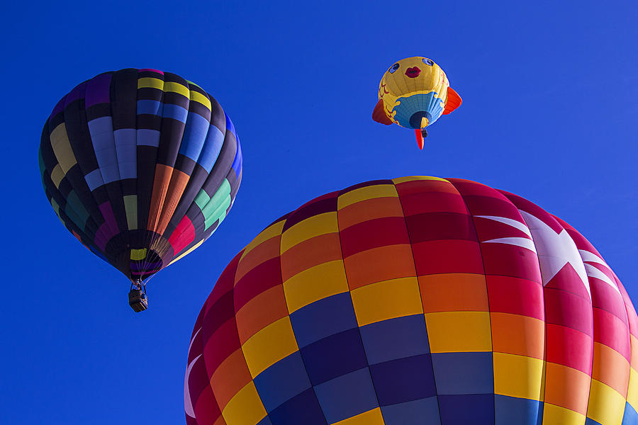 Hot Air Balloons Launch Photograph by Garry Gay