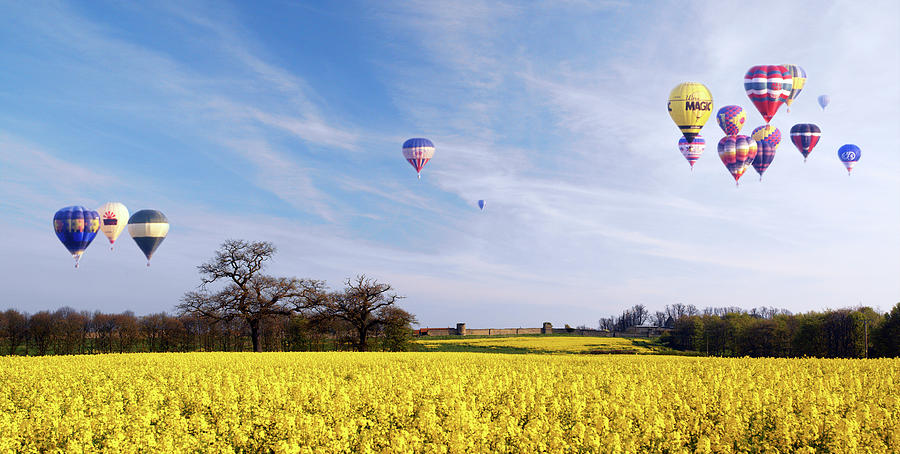 Hot Air Balloons Over Rape Seed Fields Photograph by Steve Allen/science Photo Library