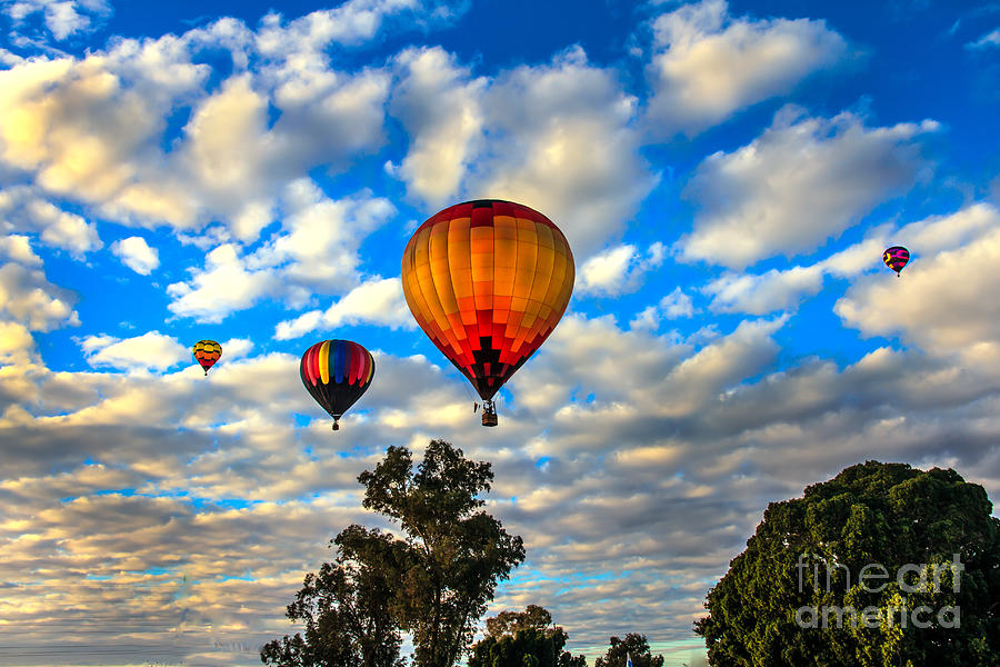 Hot Air Balloons Over Trees Photograph by Robert Bales