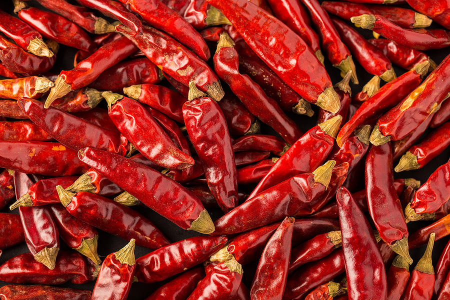 Hot Chili background Photograph by Victor Cardoner