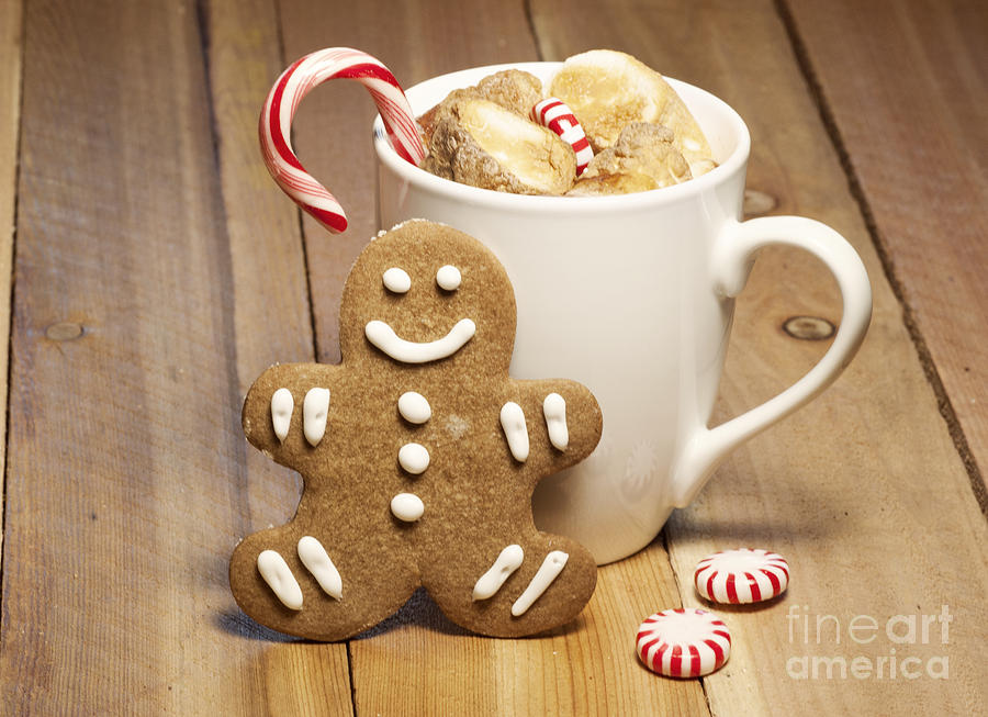 Hot Chocolate Toasted Marshmallows and a Gingerbread Cookie Photograph by Juli Scalzi