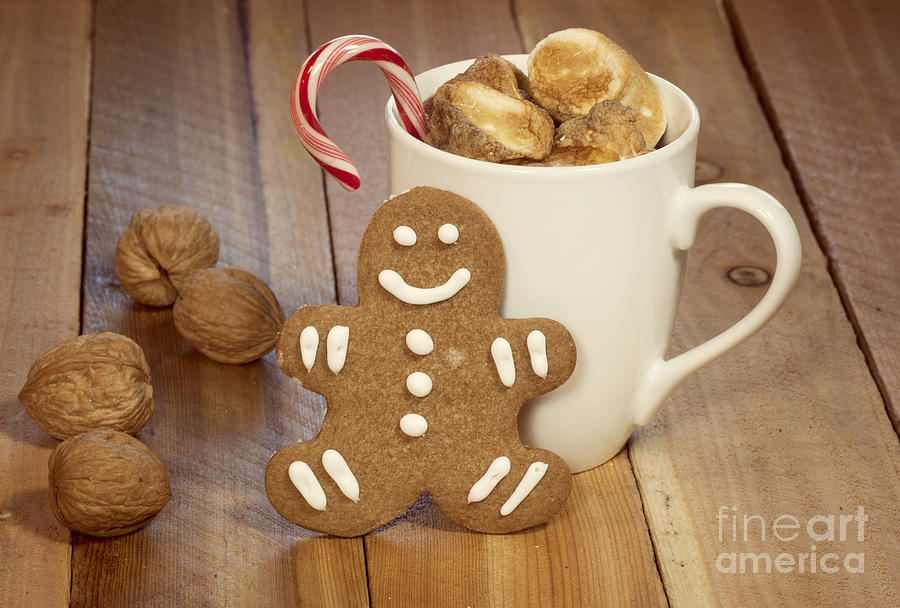 Candy Photograph - Hot Cocoa and Gingerbread Cookie by Juli Scalzi