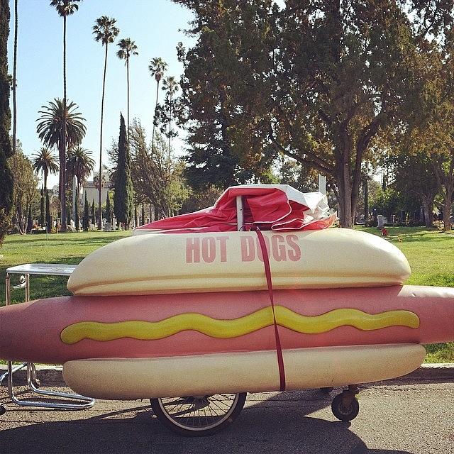 Hot Dogs...not Sure Why This Was Parked Photograph by Gia Marie Houck