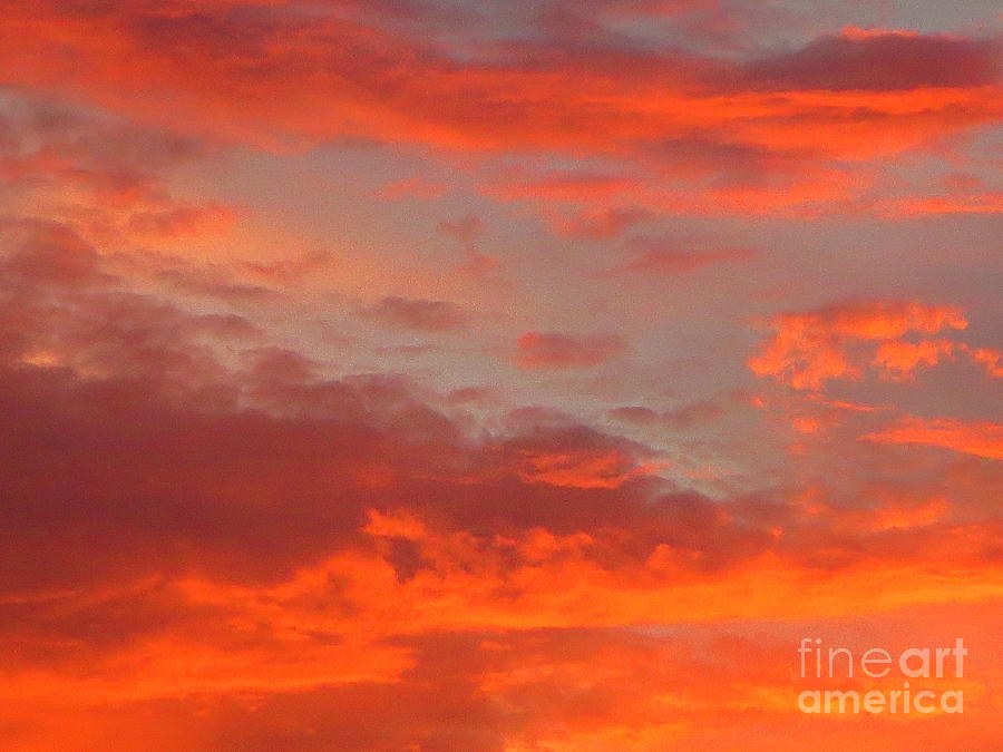 Hot Florida Sunset Photograph by Robert Birkenes