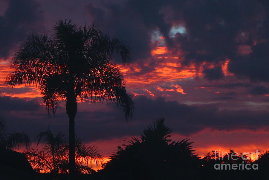 Hot Lava Sunset in Florida Photograph by Robert Birkenes