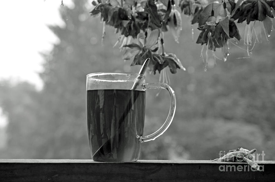 Hot Licorice Tea Photograph by Lila Fisher-Wenzel