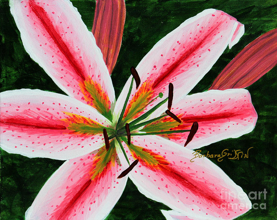 Hot Lips Oriental Lily Painting by Barbara A Griffin