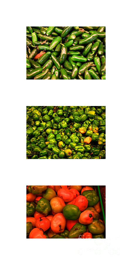Hot Pepper Collage Photograph by Thomas Marchessault