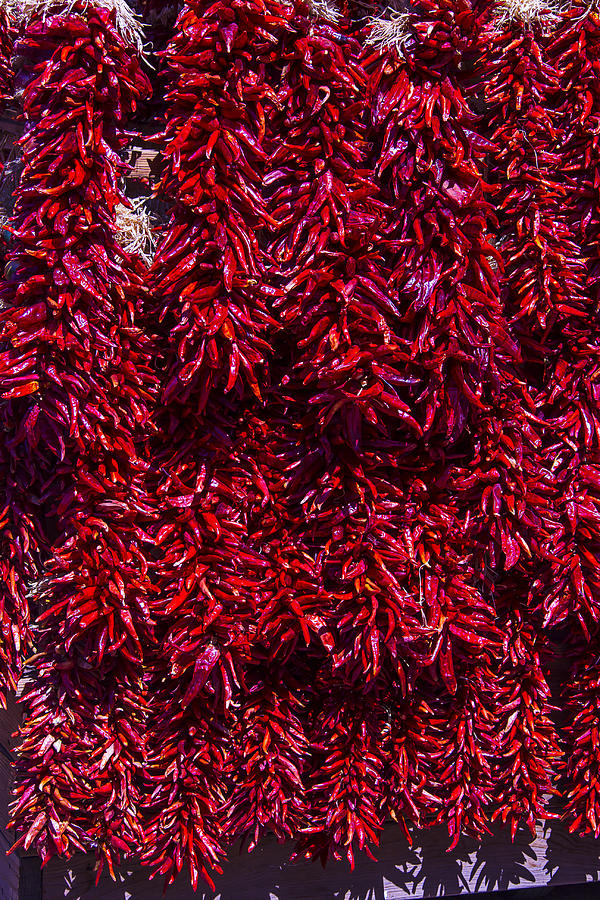 Hot Peppers Photograph by Garry Gay