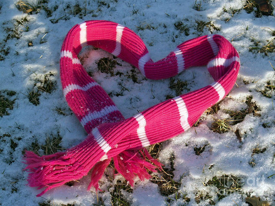 Hot Pink Love in Snow Photograph by Anna Lisa Yoder