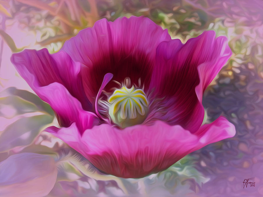 Hot Pink Poppy Digital Art by Vincent Franco
