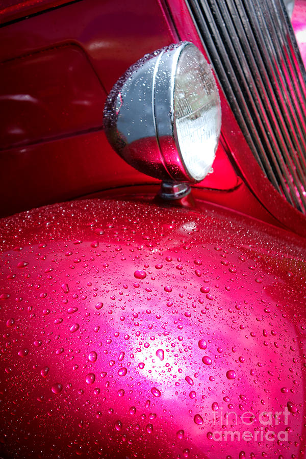 Hot Pink Wet Rod Photograph by Olivier Le Queinec