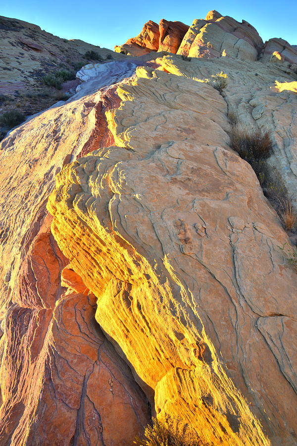 Hot Rocks - Valley of Fire Photograph by Ray Mathis