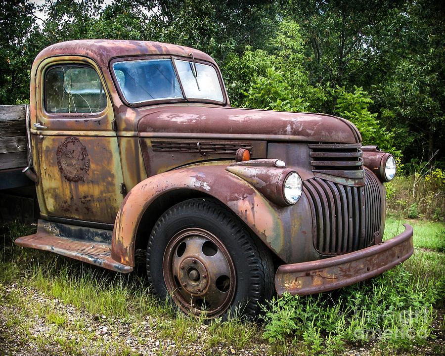 Hot Rust Photograph by Perry Webster