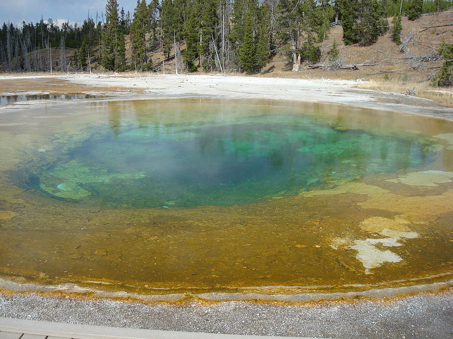 Hot Spring in Yellowstone National Park Photograph by Susan Woodward