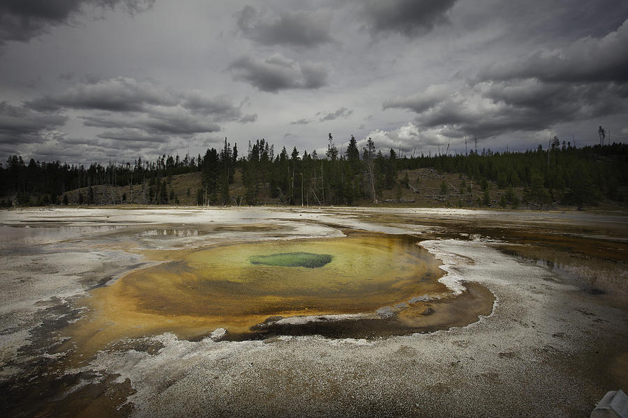 Yellowstone National Park Photograph - Hot Spring by Steve Blair