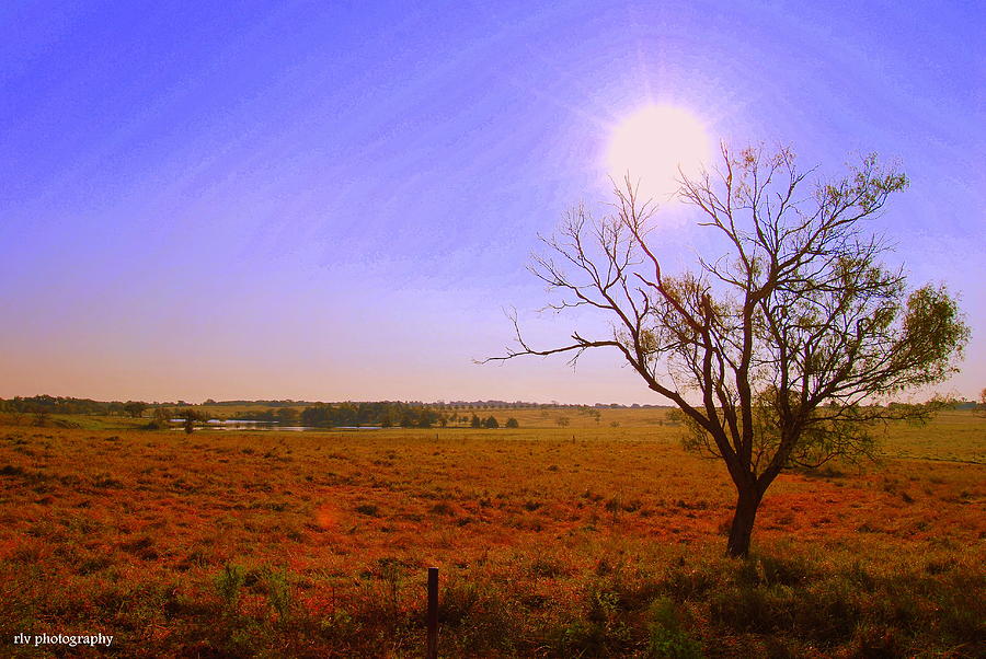 Hot Texas Summer Day Photograph By Regina Vasquez 1313