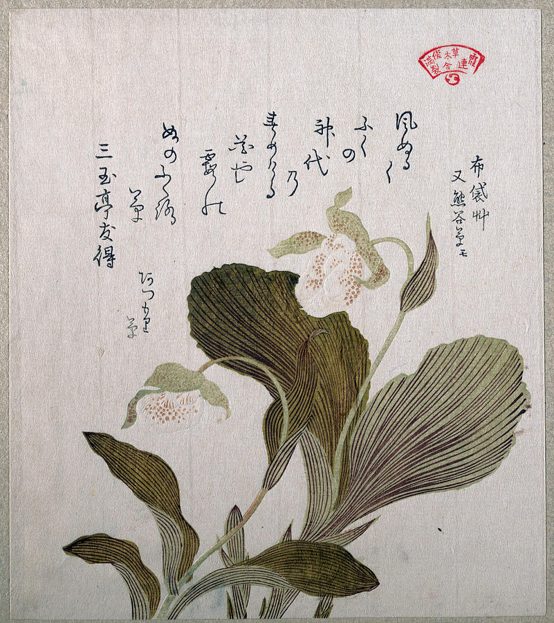 Hotei Flowers Drawing by Kubo Shunman