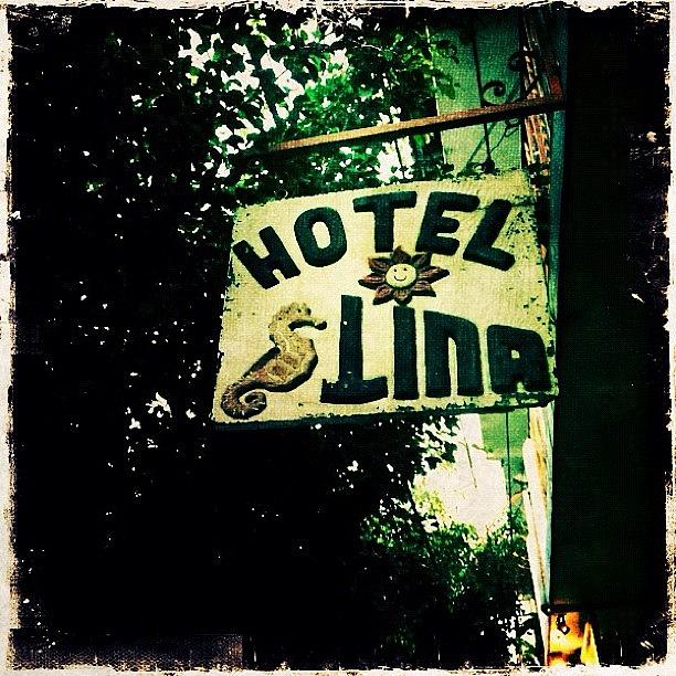 Sign Photograph - Hotel Lina In Puerto Vallarta by Natasha Marco