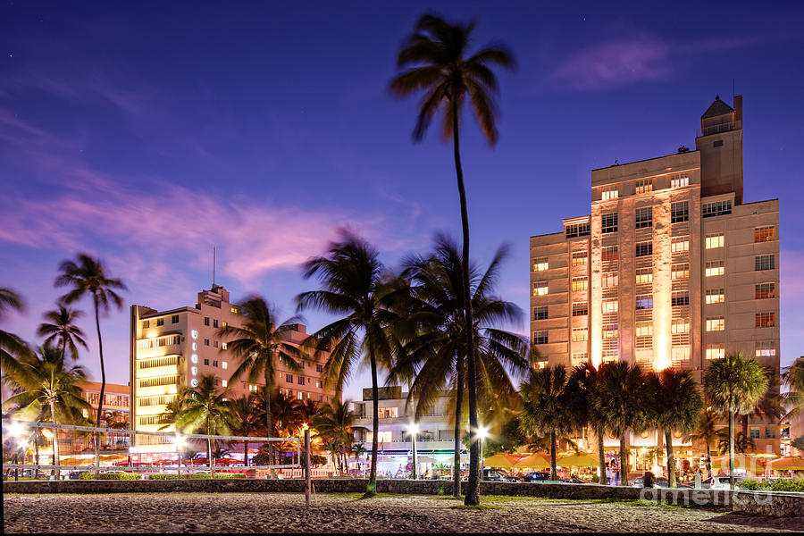 Hotel Victor Miami Beach Booking - cbdesignshop-lab