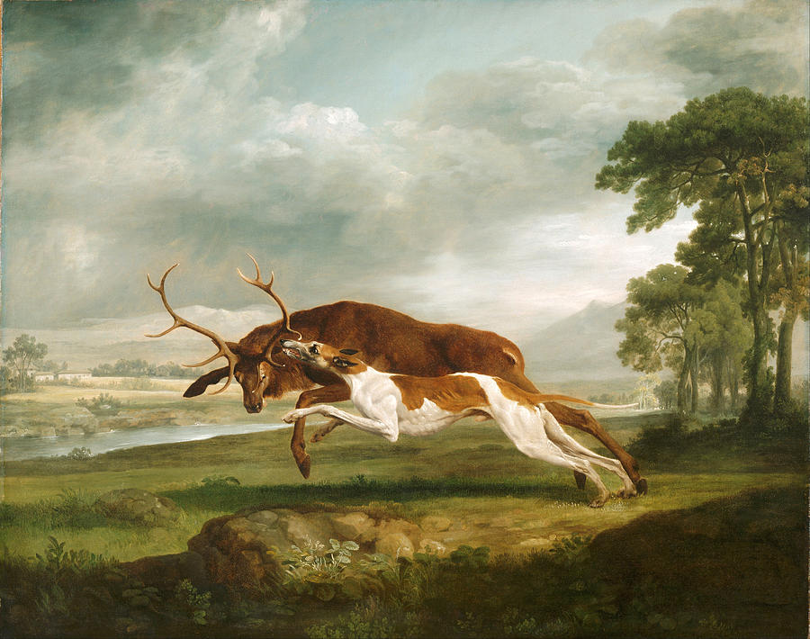 Hound Coursing a Stag Painting by George Stubbs
