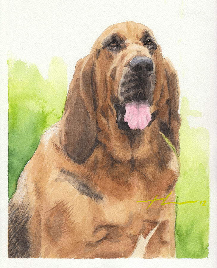 Hound Dog Watercolor Portrait Drawing by Mike Theuer