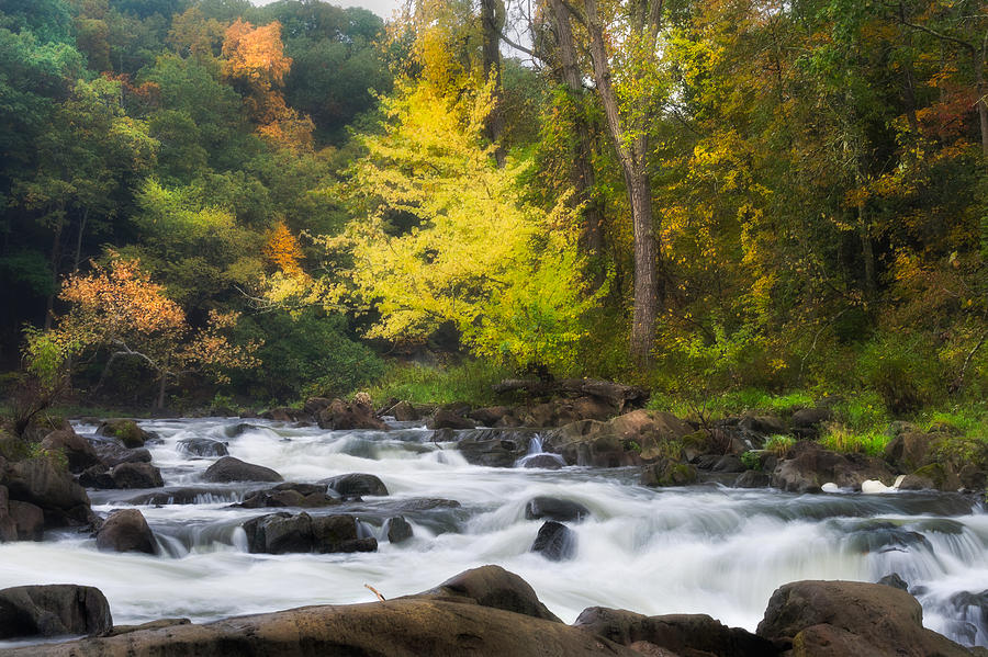 Fall Photograph - Housatonic River by Bill Wakeley