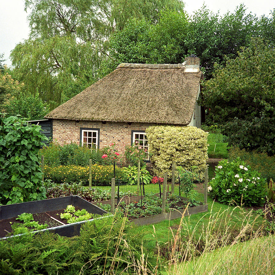 House and Garden Photograph by Cornelis Verwaal