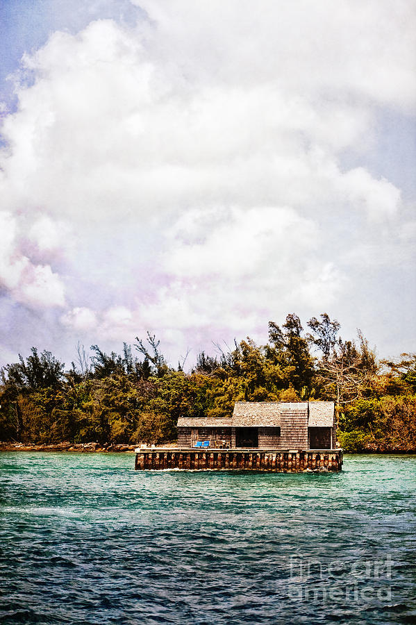 House Boat Photograph by Margie Hurwich