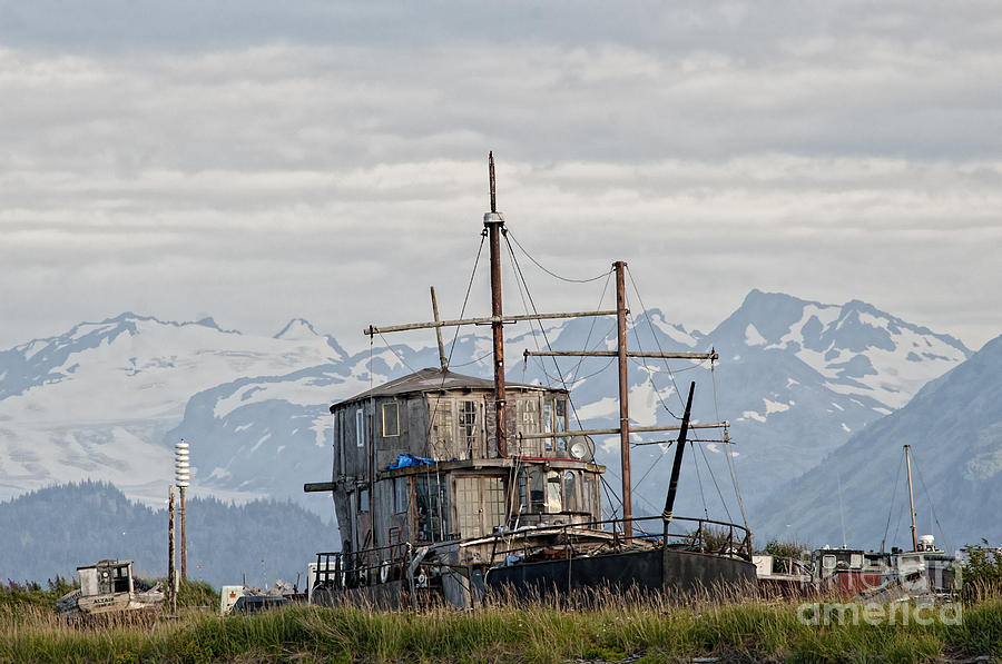 House boat on Spit in Homer Photograph by Dan Friend
