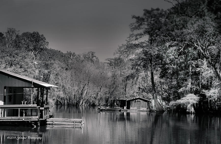 House Boats On the Apalachicola River Photograph by Debra Forand