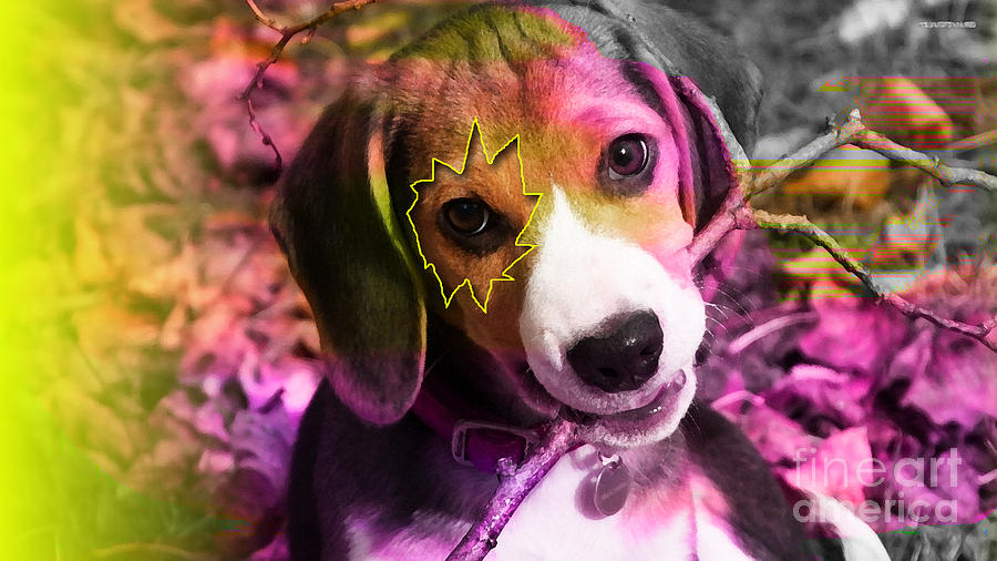 Beagle Mixed Media - House Broken Beagle Puppy by Marvin Blaine