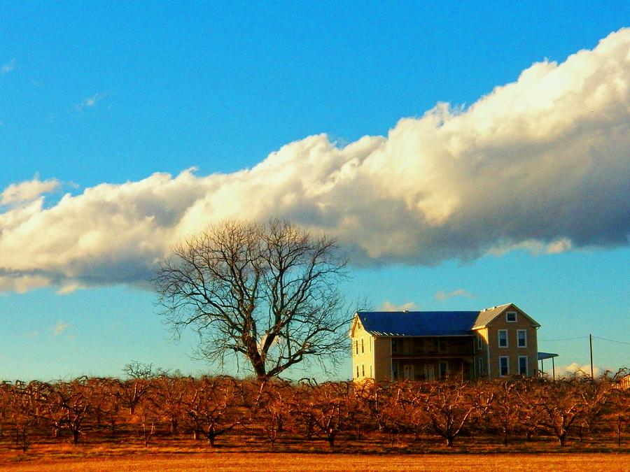 House Cloud and Tree Photograph by Joyce Kimble Smith