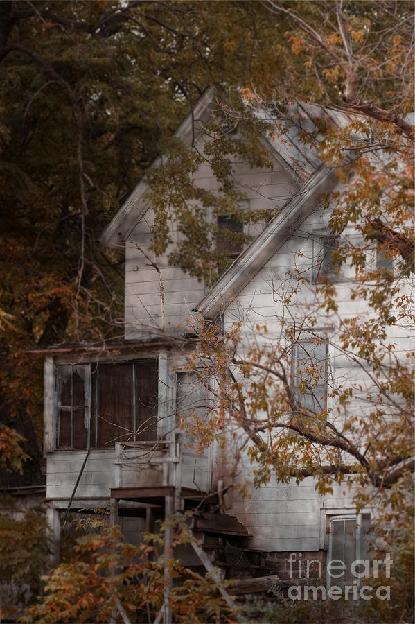 House in Fall Photograph by Margie Hurwich