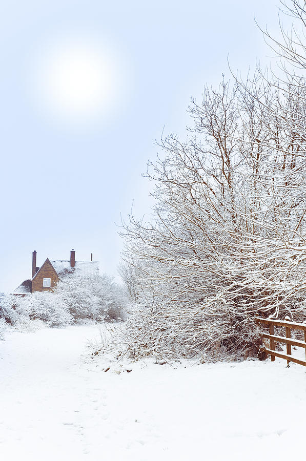 Tree Photograph - House In snow by Amanda Elwell