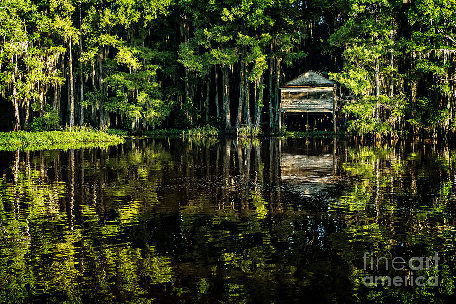 House in the Swamp Photograph by Tamyra Ayles