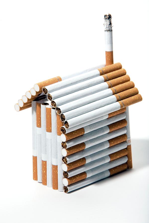 House Made From Cigarettes Photograph by Mark Thomas/science Photo Library