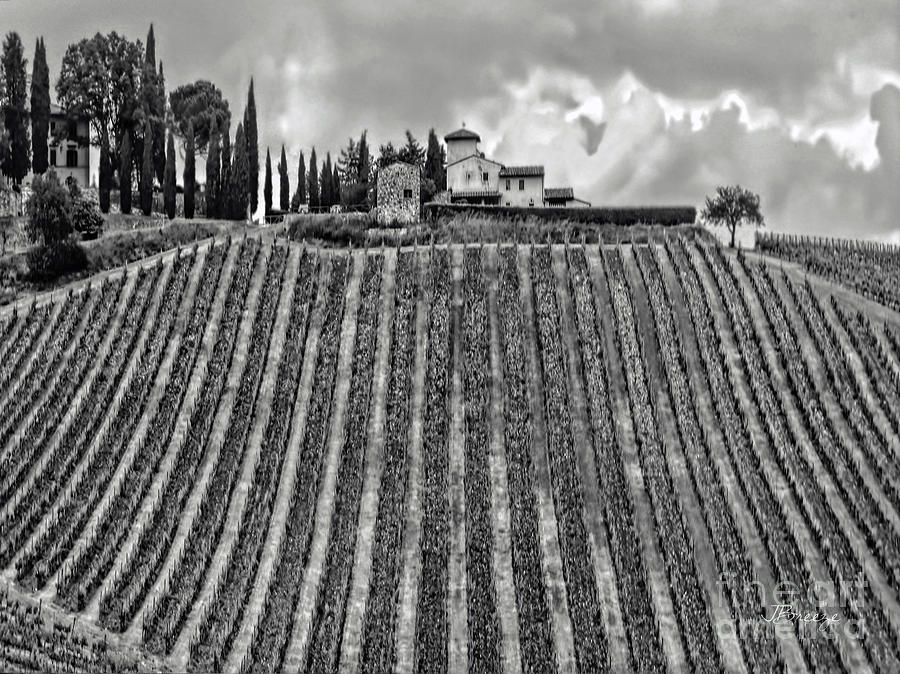 Grape Photograph - House on a Hill-Tuscany-BW by Jennie Breeze