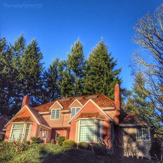 Snapseed Photograph - House On The Hill, Afternoon Light by Anna Porter