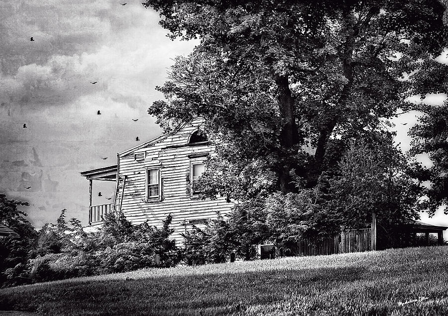 House On The Hill in bw Photograph by Madeline Ellis