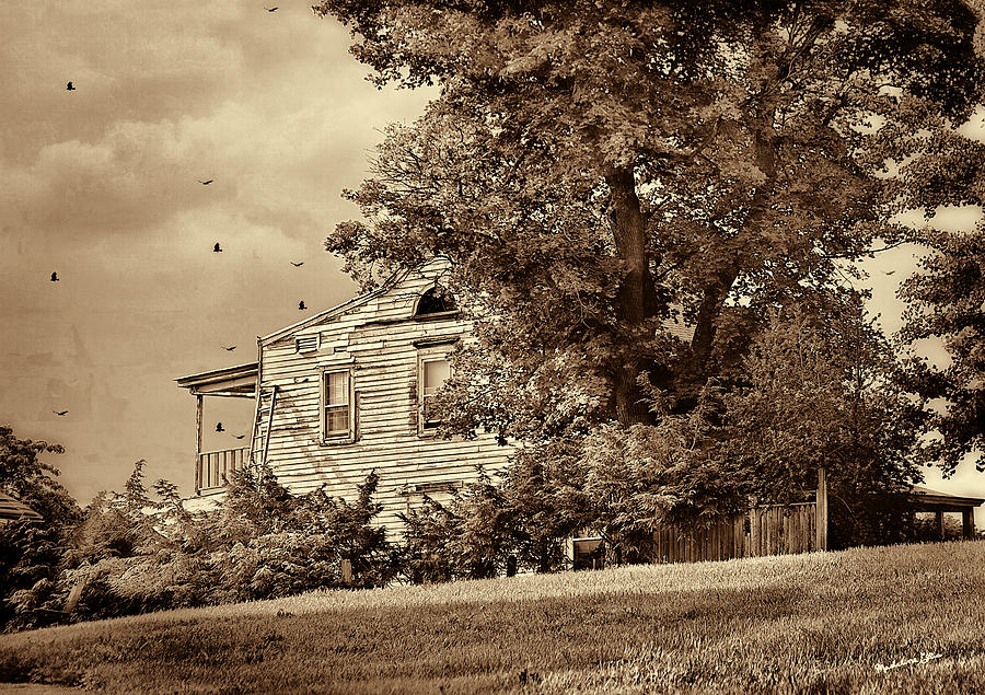 House On The Hill in sepia Photograph by Madeline Ellis