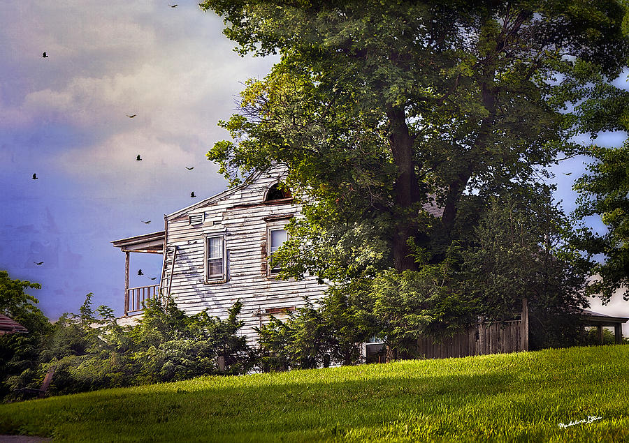 House On The Hill Photograph by Madeline Ellis