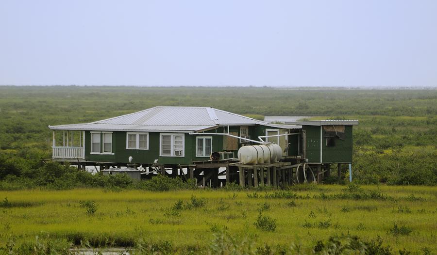 House on the marshes Photograph by Bradford Martin