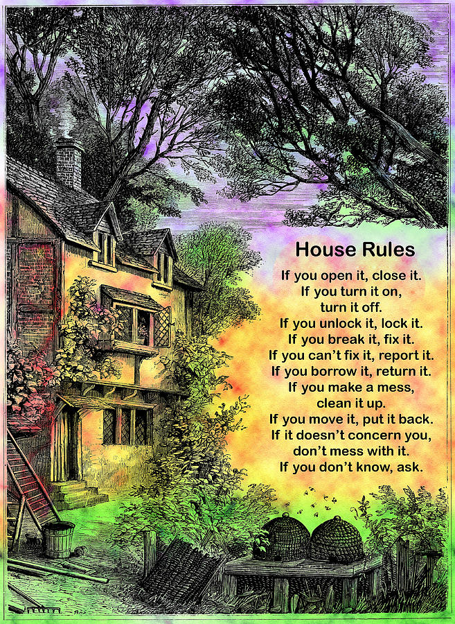 House Rules Photograph by Mike Flynn