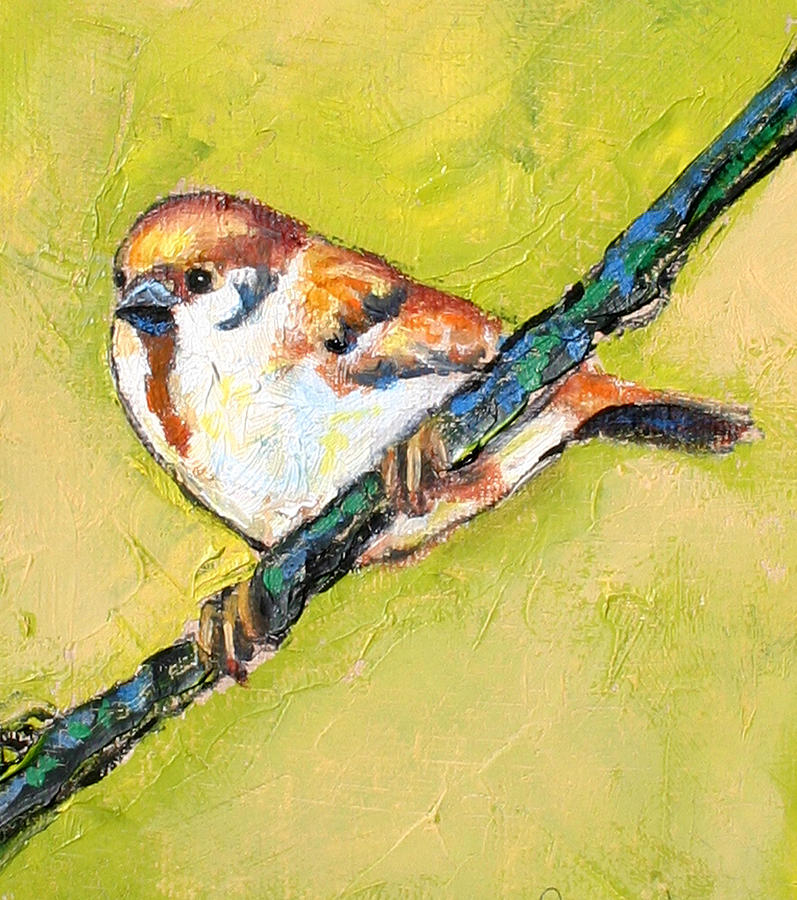 House Sparrow 01 Painting by Carol Jo Smidt