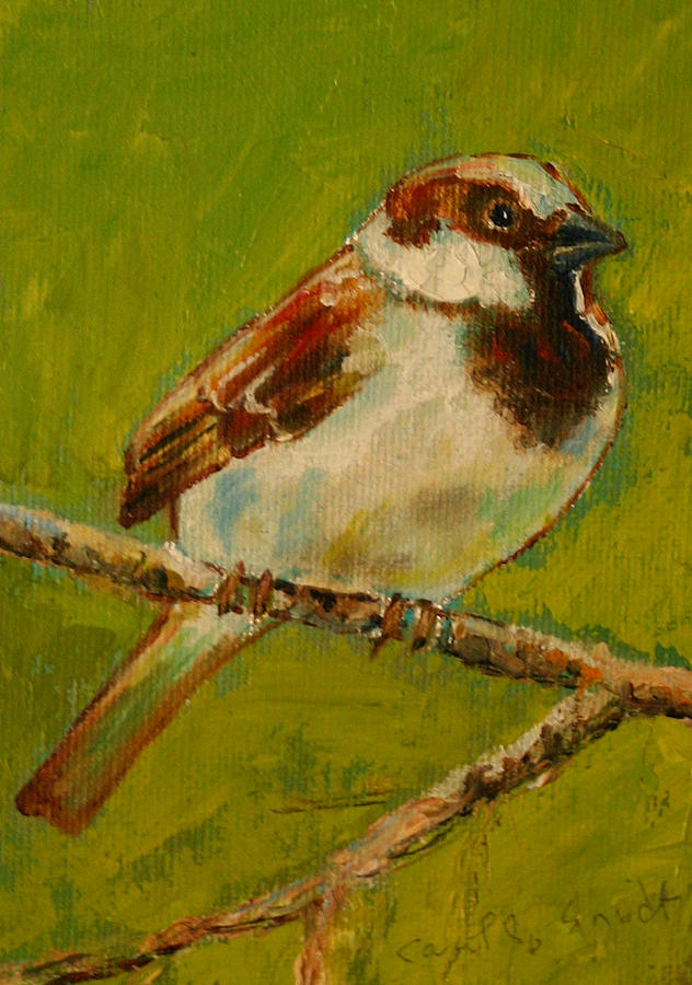 House Sparrow 02 Painting by Carol Jo Smidt