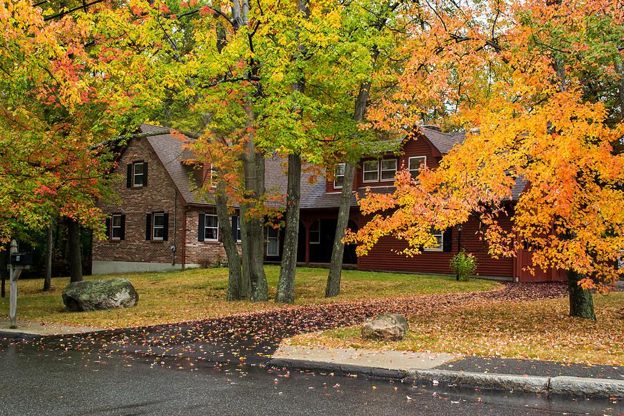 Fall Photograph - House Surrounded with Colors by Jatin Thakkar