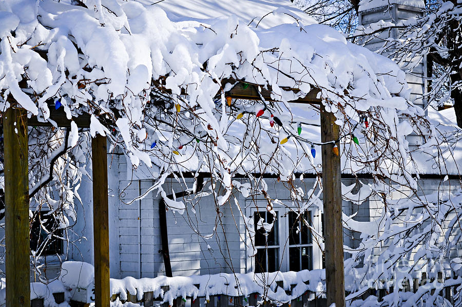 Winter Photograph - House under snow 2 by Elena Elisseeva