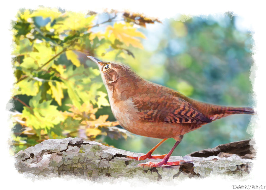 Waiting For My Father- House Wren - Digital Paint I Photograph by Debbie Portwood